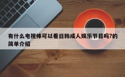 有什么电视棒可以看日韩成人娱乐节目吗?的简单介绍