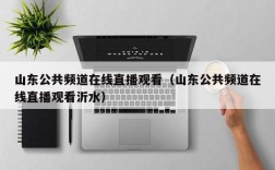 山东公共频道在线直播观看（山东公共频道在线直播观看沂水）