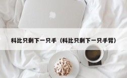 科比只剩下一只手（科比只剩下一只手臂）